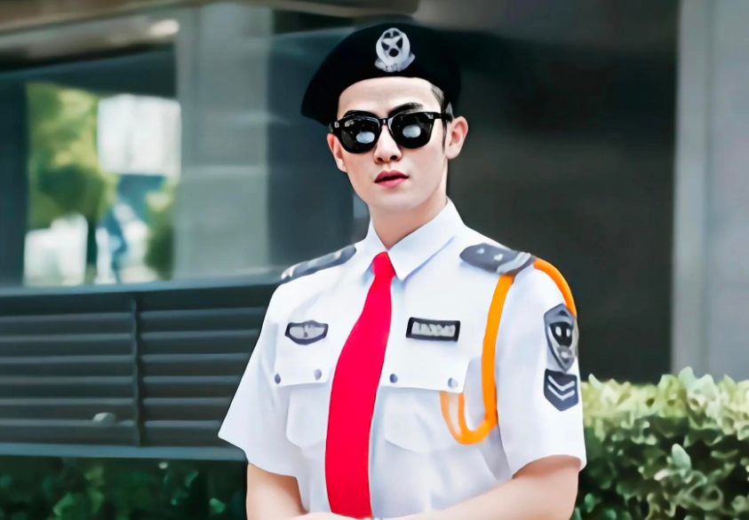 酒店/文旅/景点安保解决方案